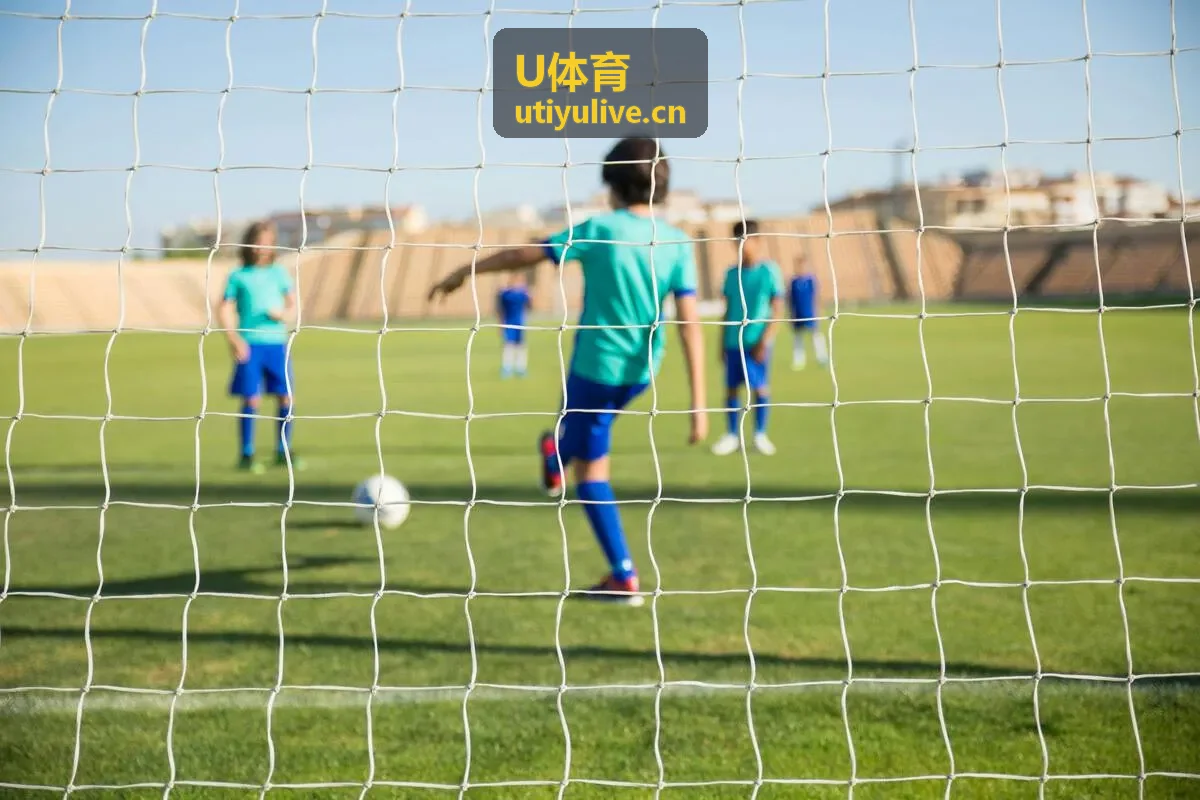 U体育定制内容
